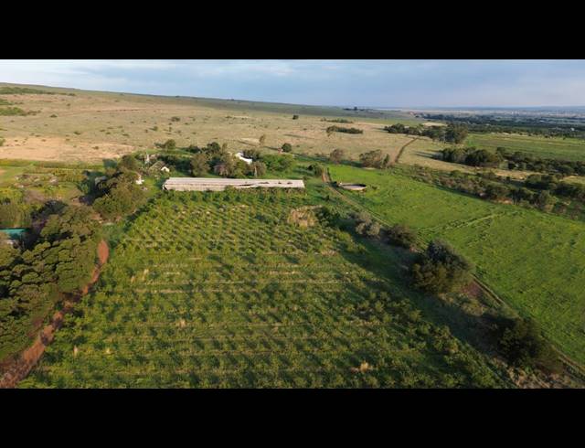 80HA FARM TO LET IN WESTONARIA RURAL